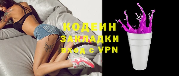 хмурый Гусев