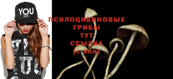 хмурый Гусев