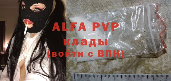 хмурый Гусев