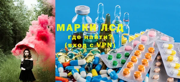 хмурый Гусев